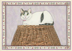 Pams Cat